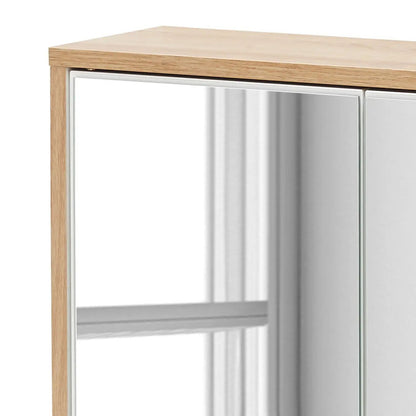 Torinn Mirror Cabinet