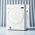 2 cu. ft. Ventless Heat Pump Electric Dryer in White with Inverter Motor, Sensor Dry & and Sanitize Cycle